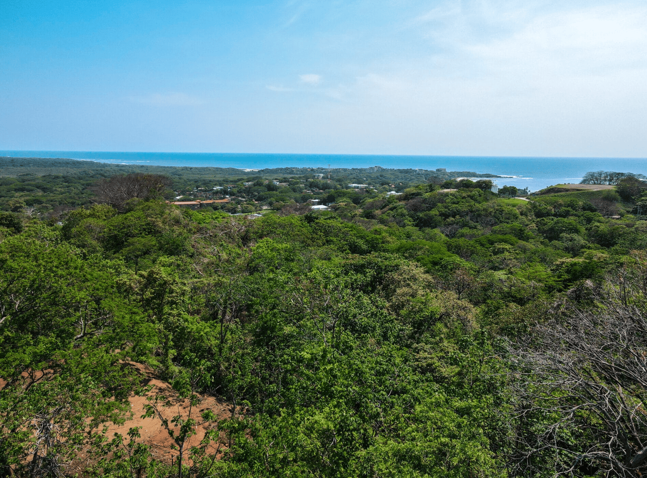 Jungle Vista Retreat - Modern Tropical Hideaway - Senderos