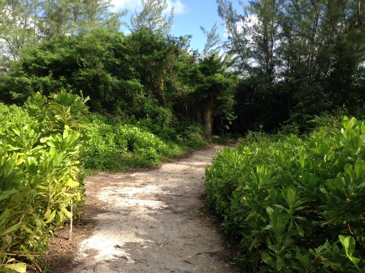 Beautiful Beachfront Development Site
