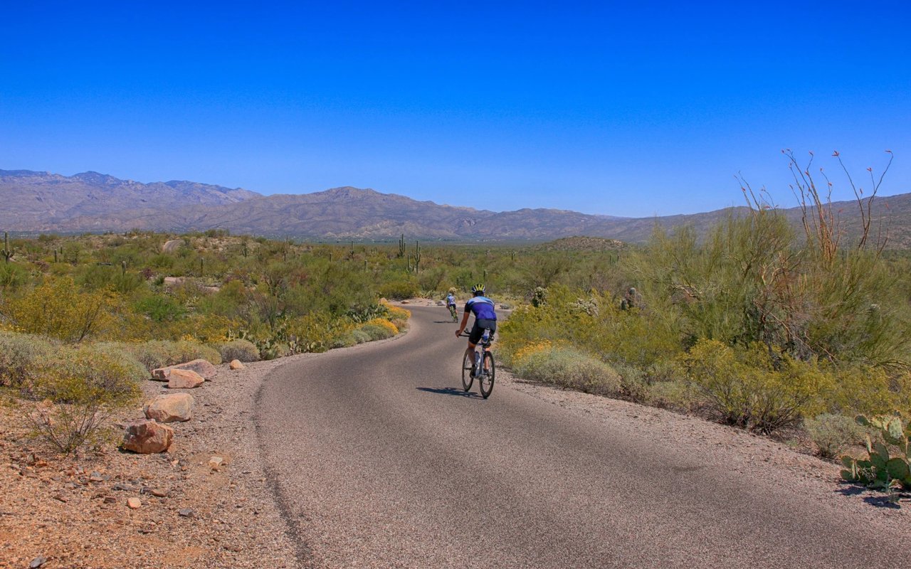 Living in Tucson - A Guide to the Best Winter Activities