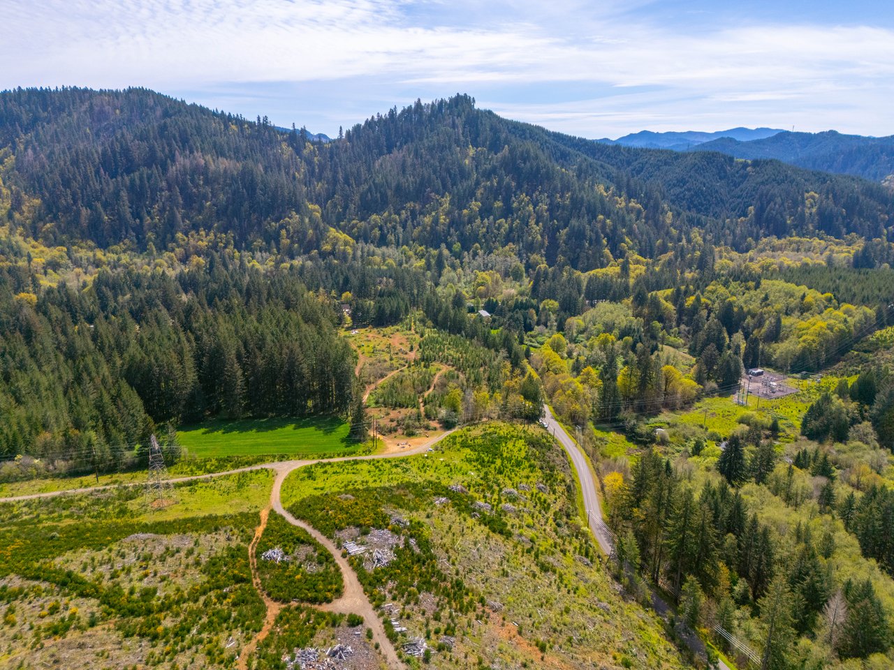 Nelson Mountain Meadows