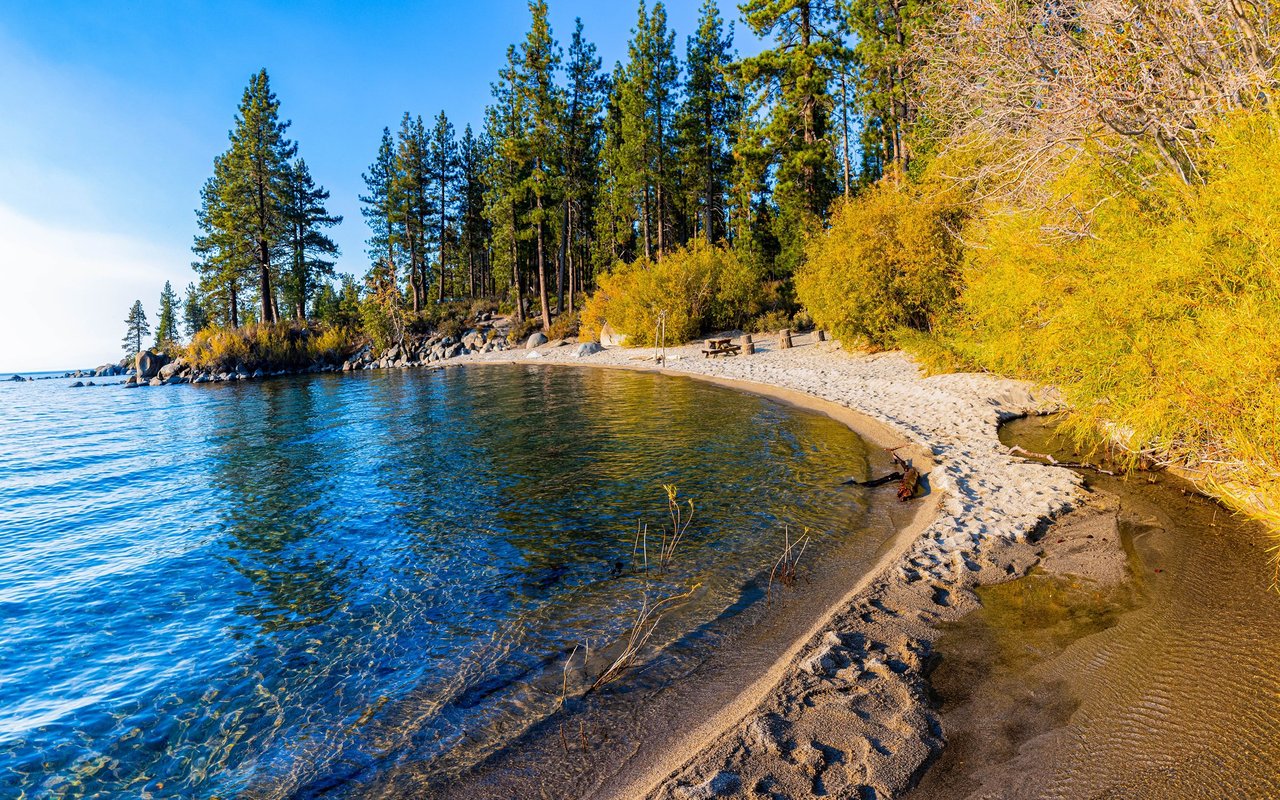 Sandy shoreline curves along clear blue water beneath autumn trees and pines at Zephyr Cove.