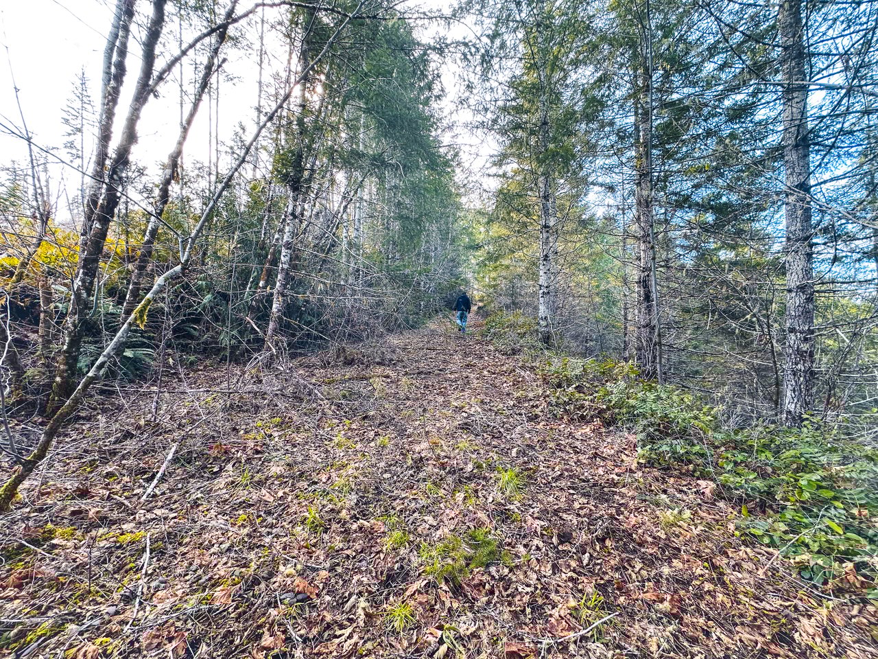 Smith River Back Woods