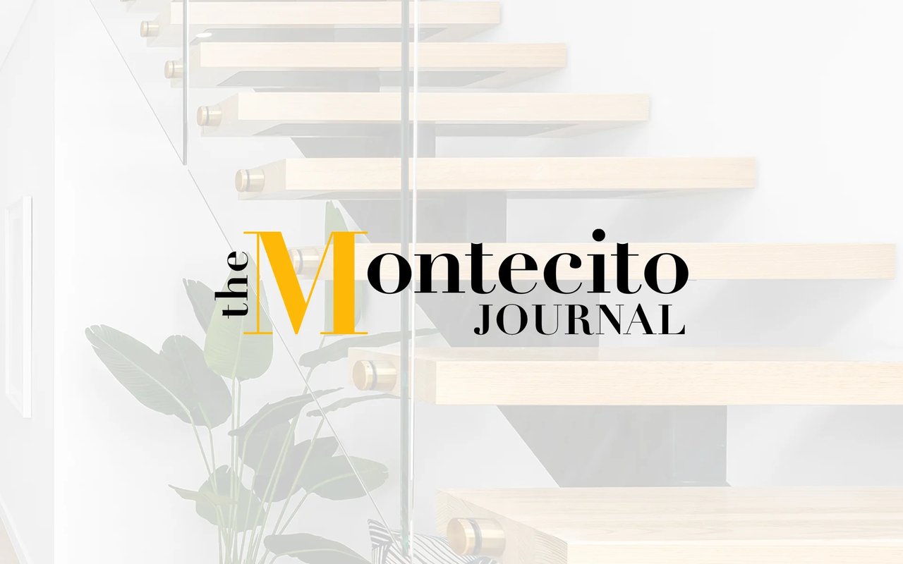 A Journey of Resilience and Reinvention