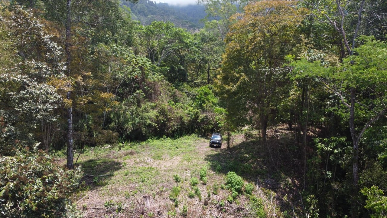 Private Waterfall Jungle Land, Uvita, Puntarenas