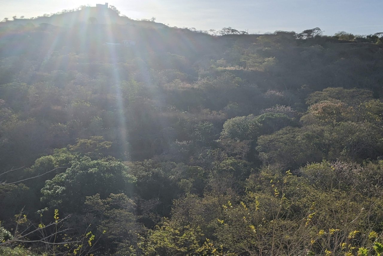 Pacific Heights Lot 22B – BEST PRICED OCEAN VIEW LOT WITH WATER