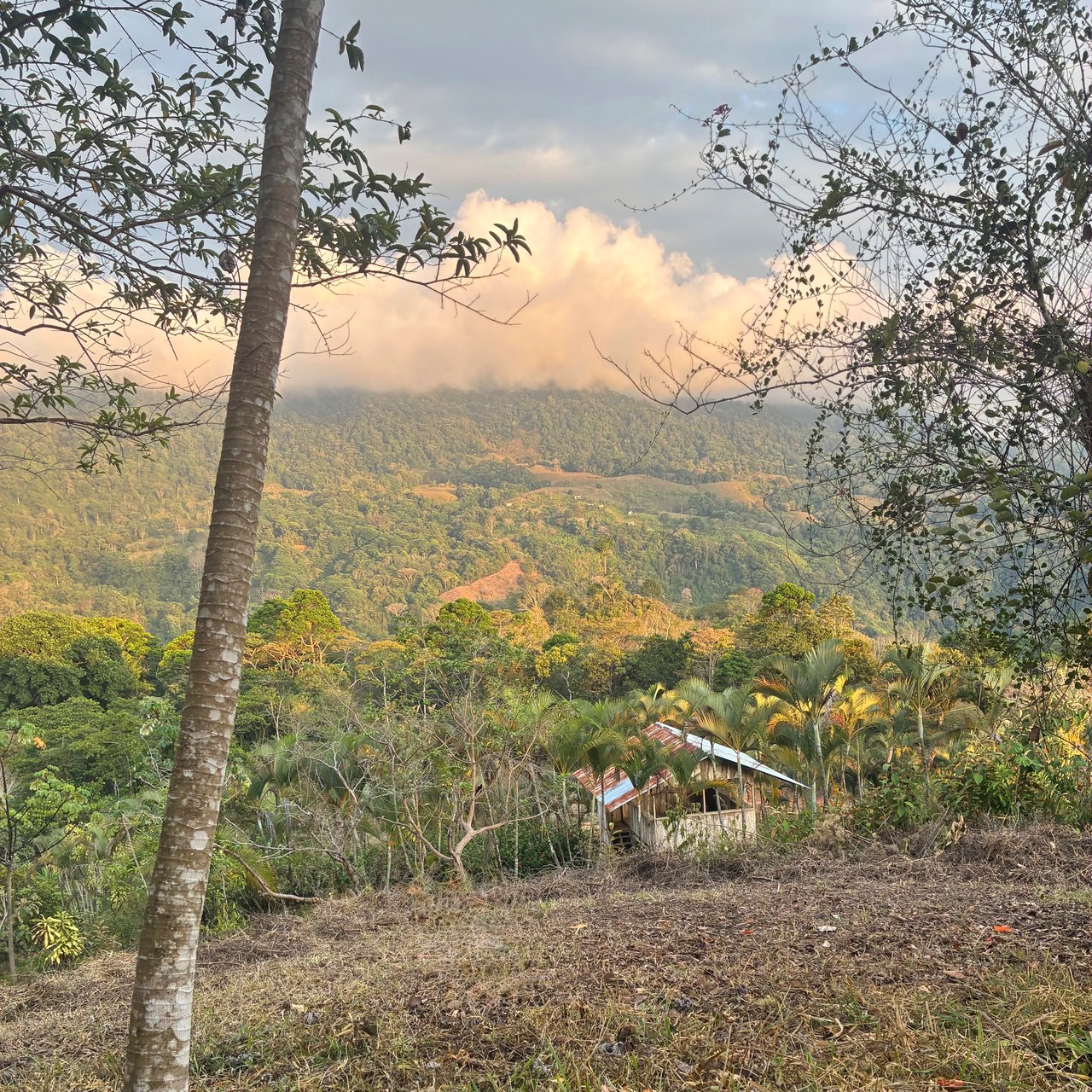 Ocean & Mountain View Lot with Multiple Building Sites-20 Minutes from Uvita