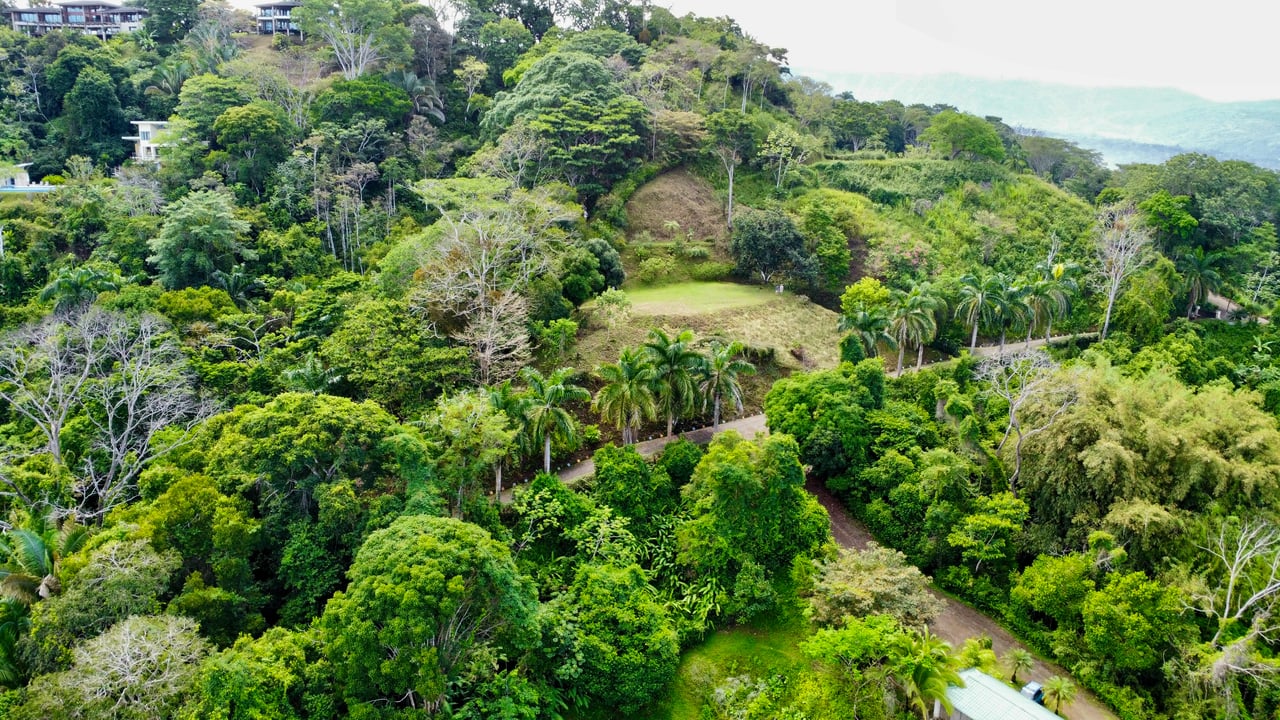 3.6 Acre Ocean View, Near the Beach & Cool Mountain Elevation
