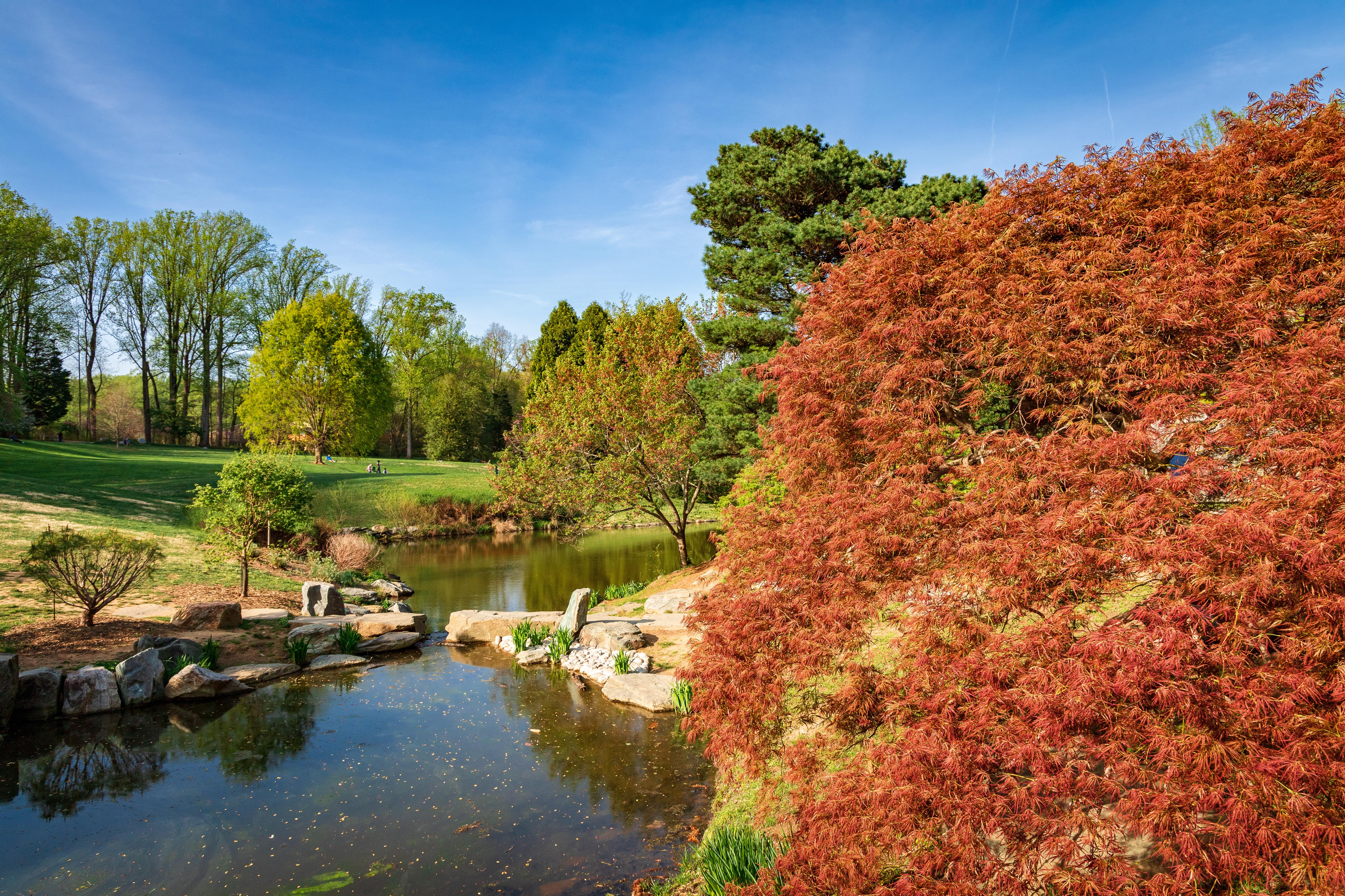 Spring Valley