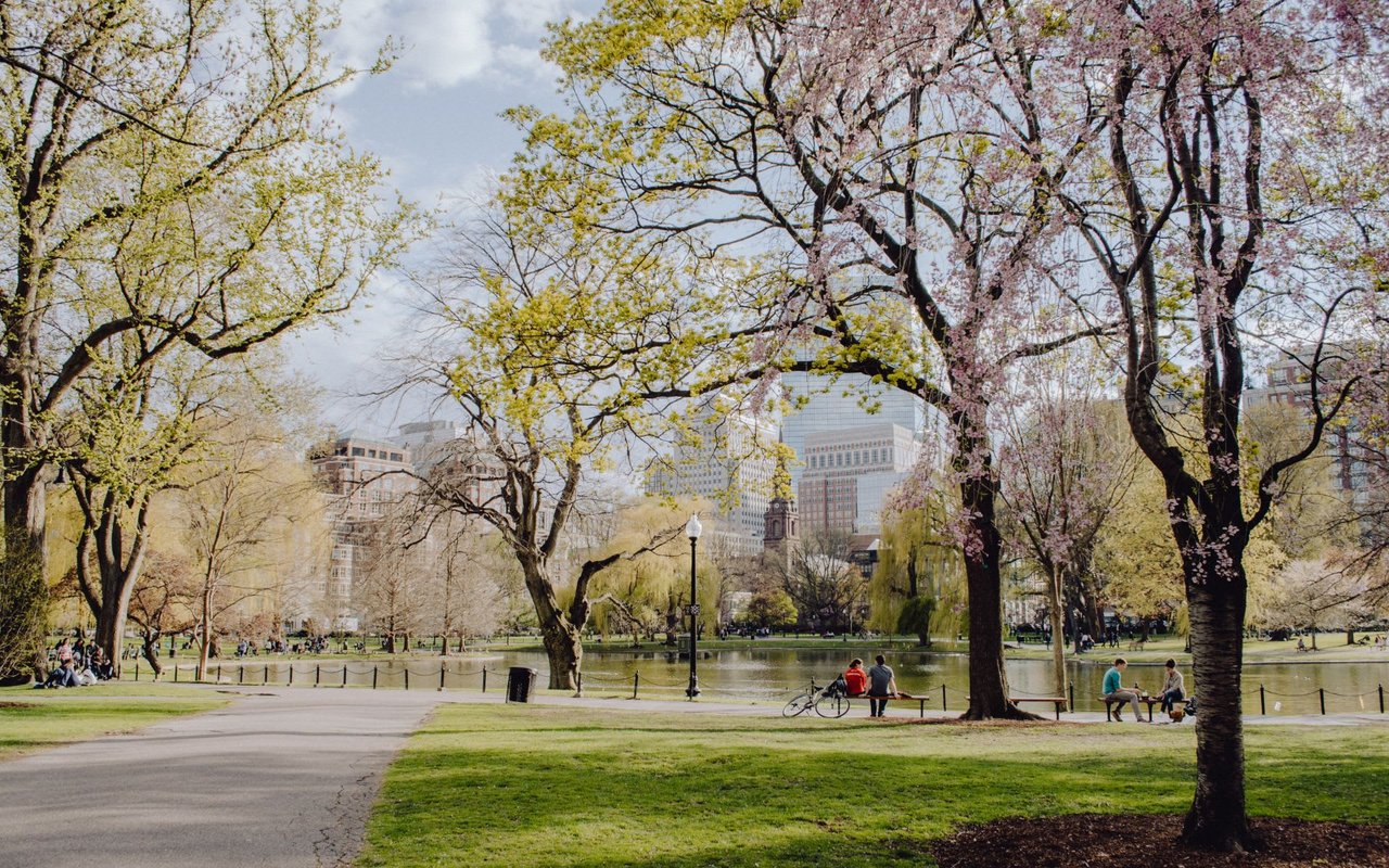 Elegran Insights: Weekly Manhattan & Brooklyn Market