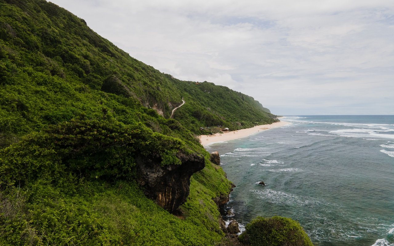 Green hillside overlooking a sandy beach and waves along the coast.