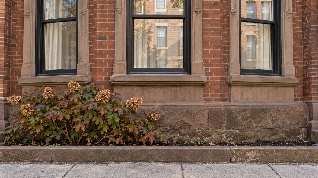 Sunlight on a red-brick residential window bay with weathered sandstone trim and autumn oakleaf hydrangea.