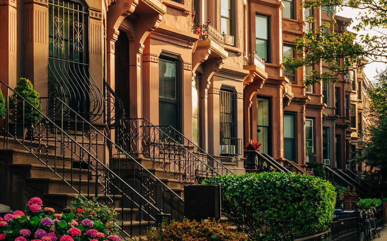 Bedford Stuyvesant