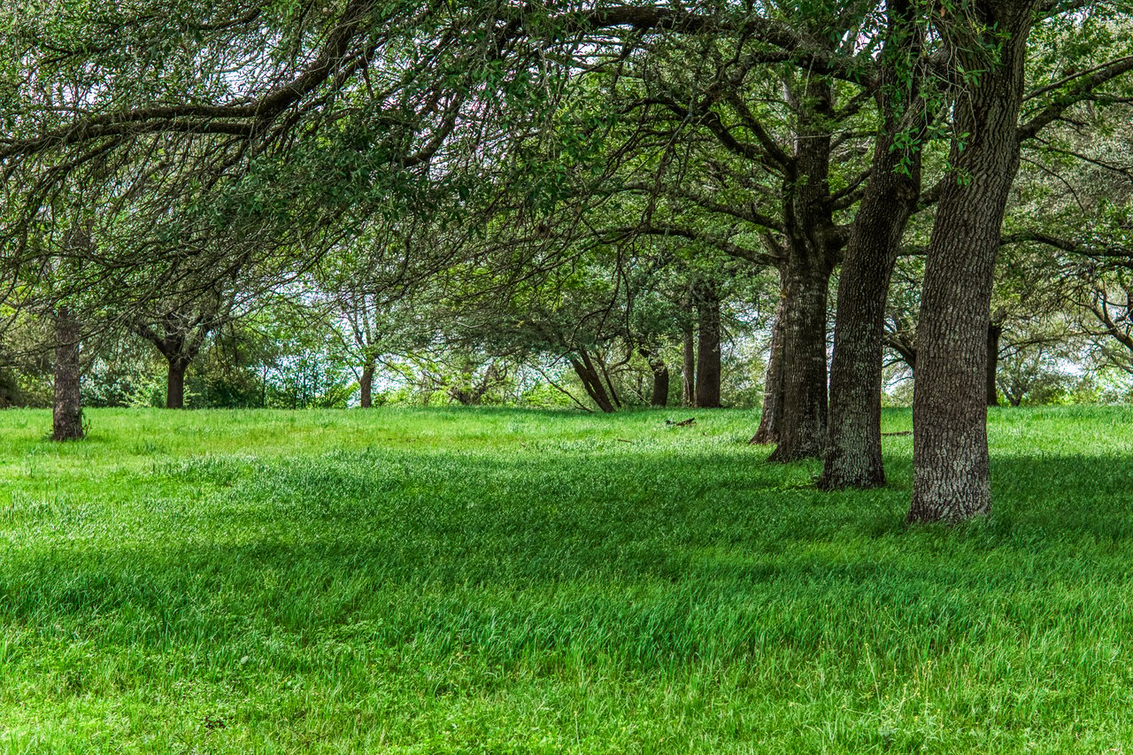 TBD Krueger Rd Washington, Texas 77880