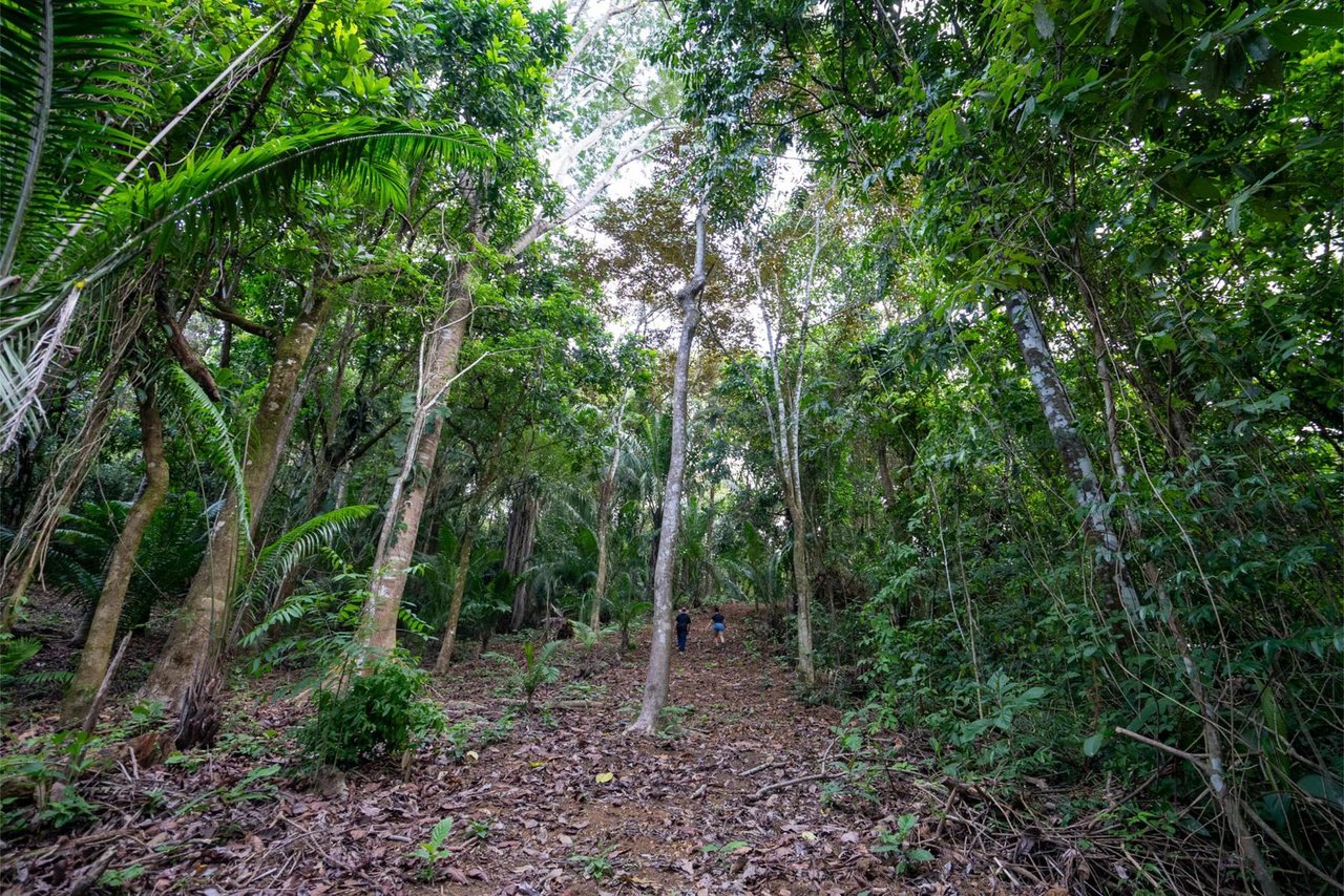 Private Ocean View Development Lot, Dominical, Puntarenas