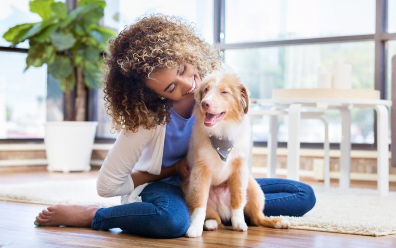 Tips for Bringing a New Pet into Your Home