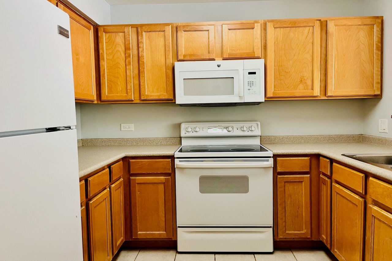 345 N LaSalle Unit 1505