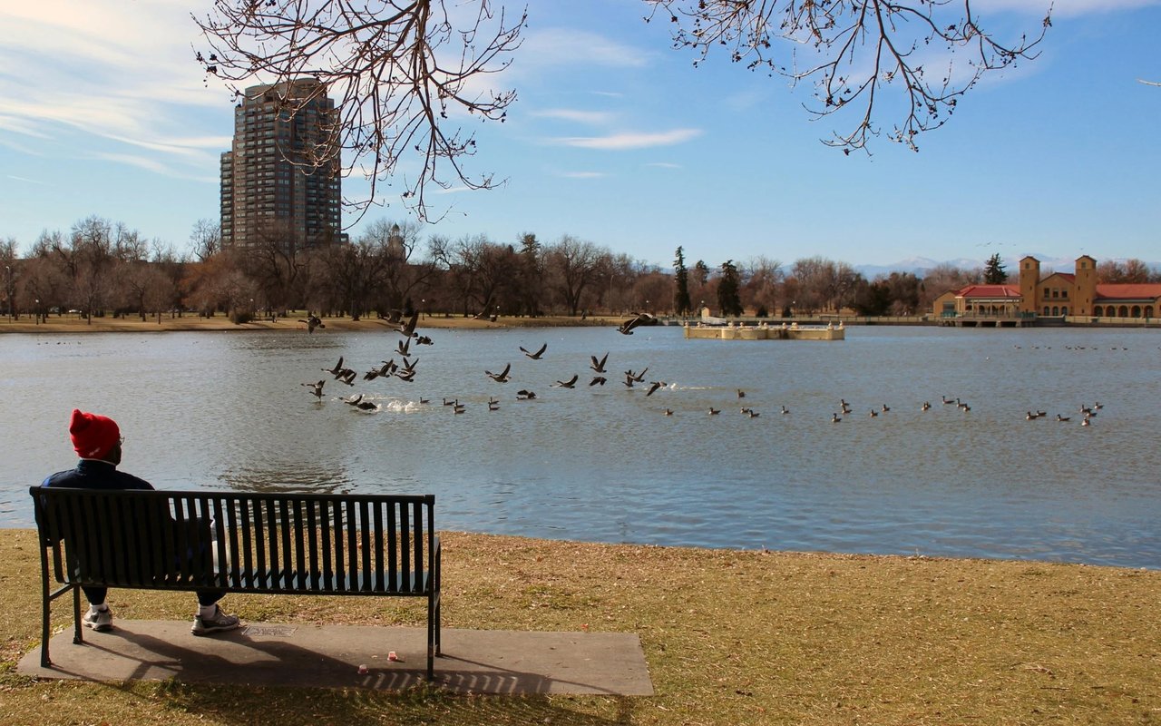 Denver Real Estate Market Update: June 2024 and What to Expect in the Future.