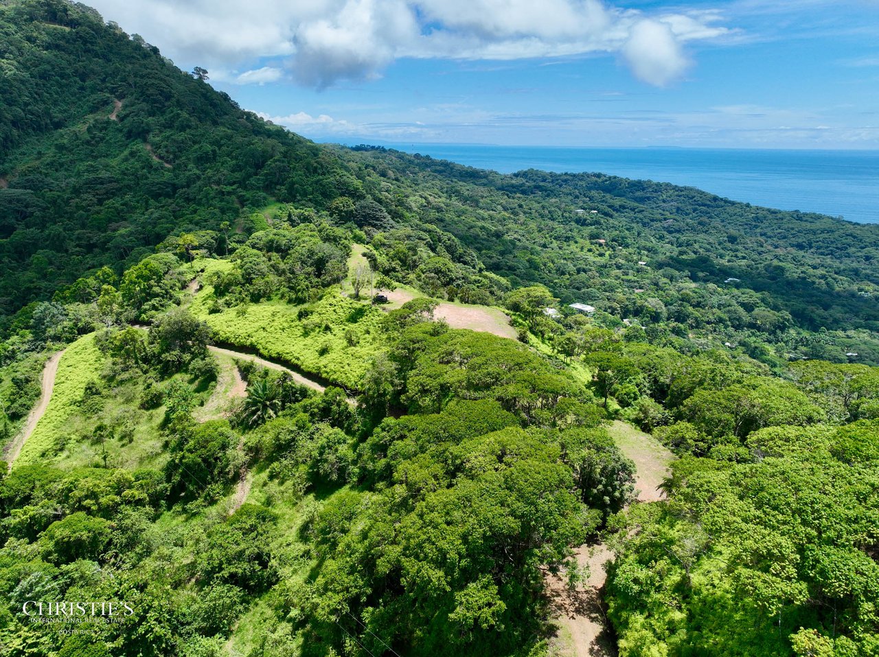 Luxury Farm Estate — 60 hectares of Breathtaking Views & Ultimate Privacy