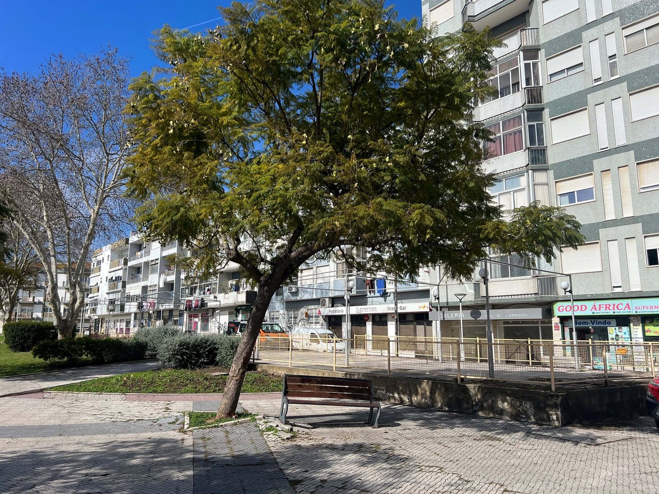 Prime Commercial Space Near Lisbon – Tenant in Place – 5% Annual Return