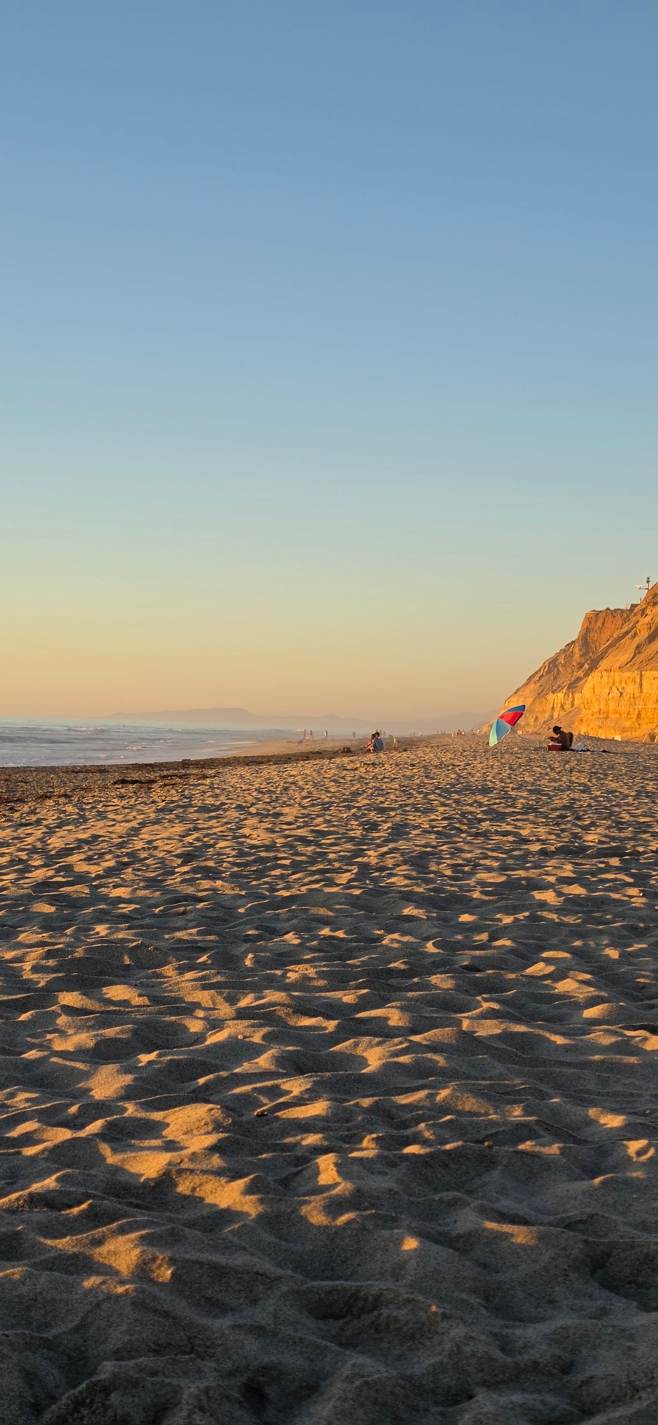 Del Mar Dog Beach - California - San Diego