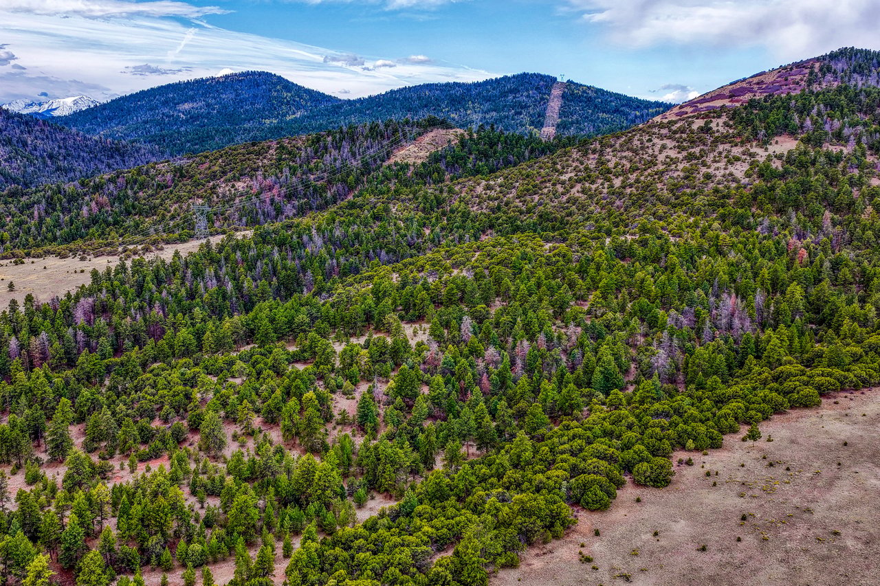 10475 County Road 12