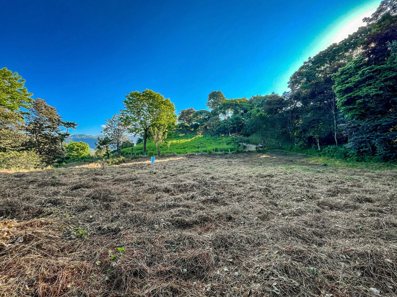 7 ACRES – Mountain Views! Large Building Area, Walking Distance To The Largest Waterfall In The Area, Public Road, Private Setting, Ready To Build, 20Min to Dominical!!