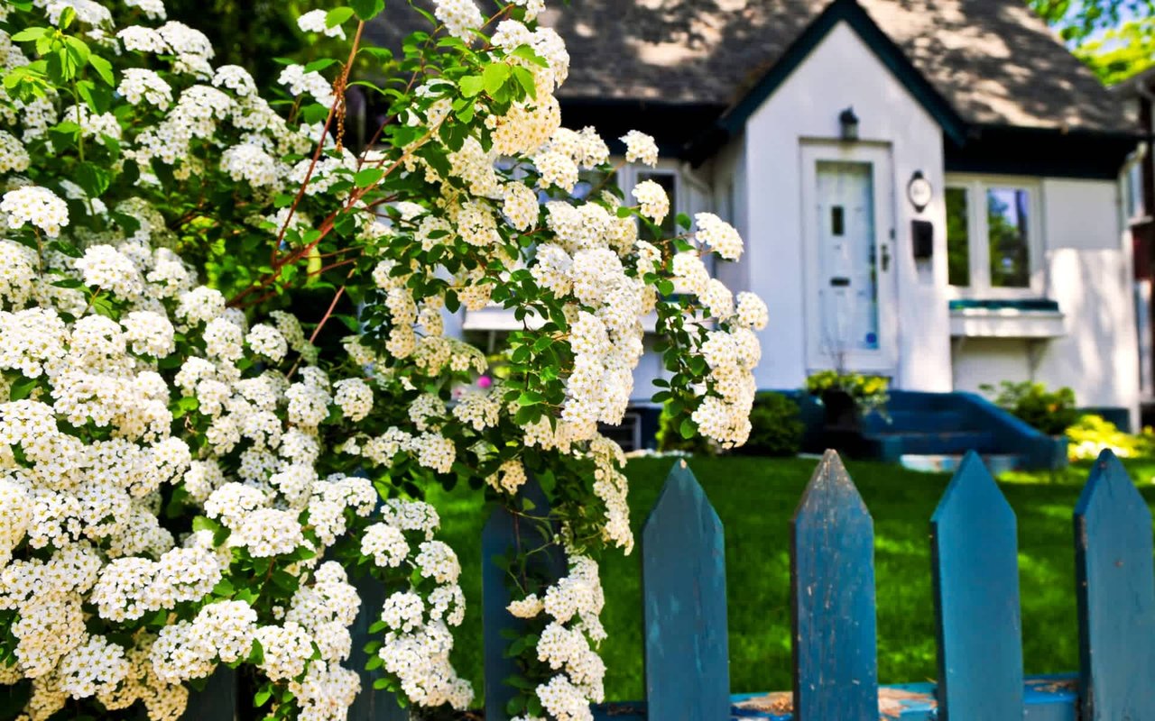 Home Staging Tips for Spring