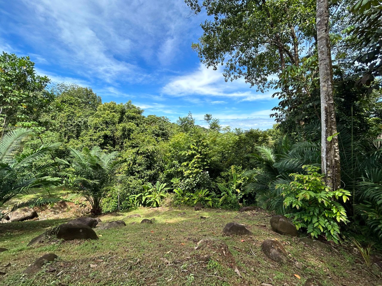 Secret Paradise Property in Altos de la Colonia