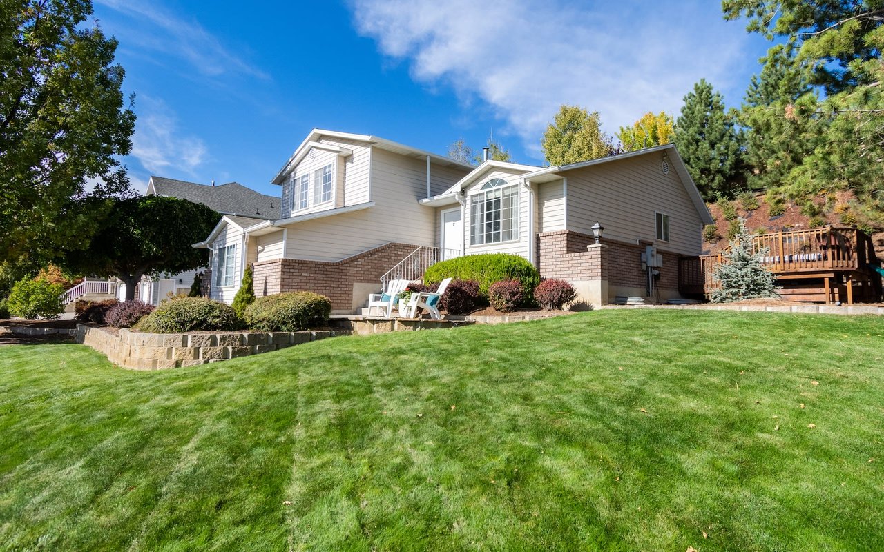 Willow Glen