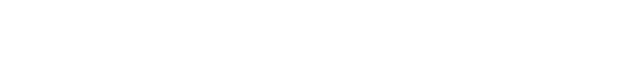 Light Logo