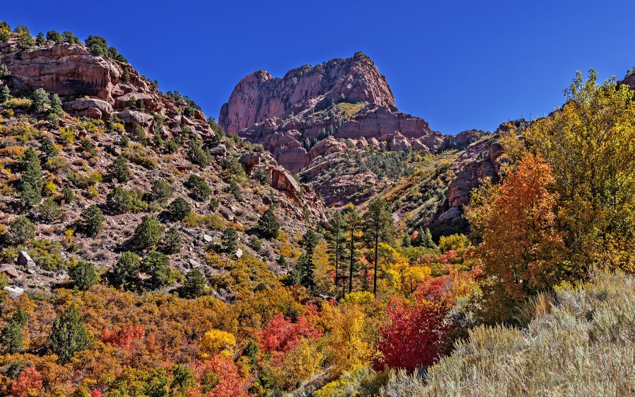 Cedar Hills