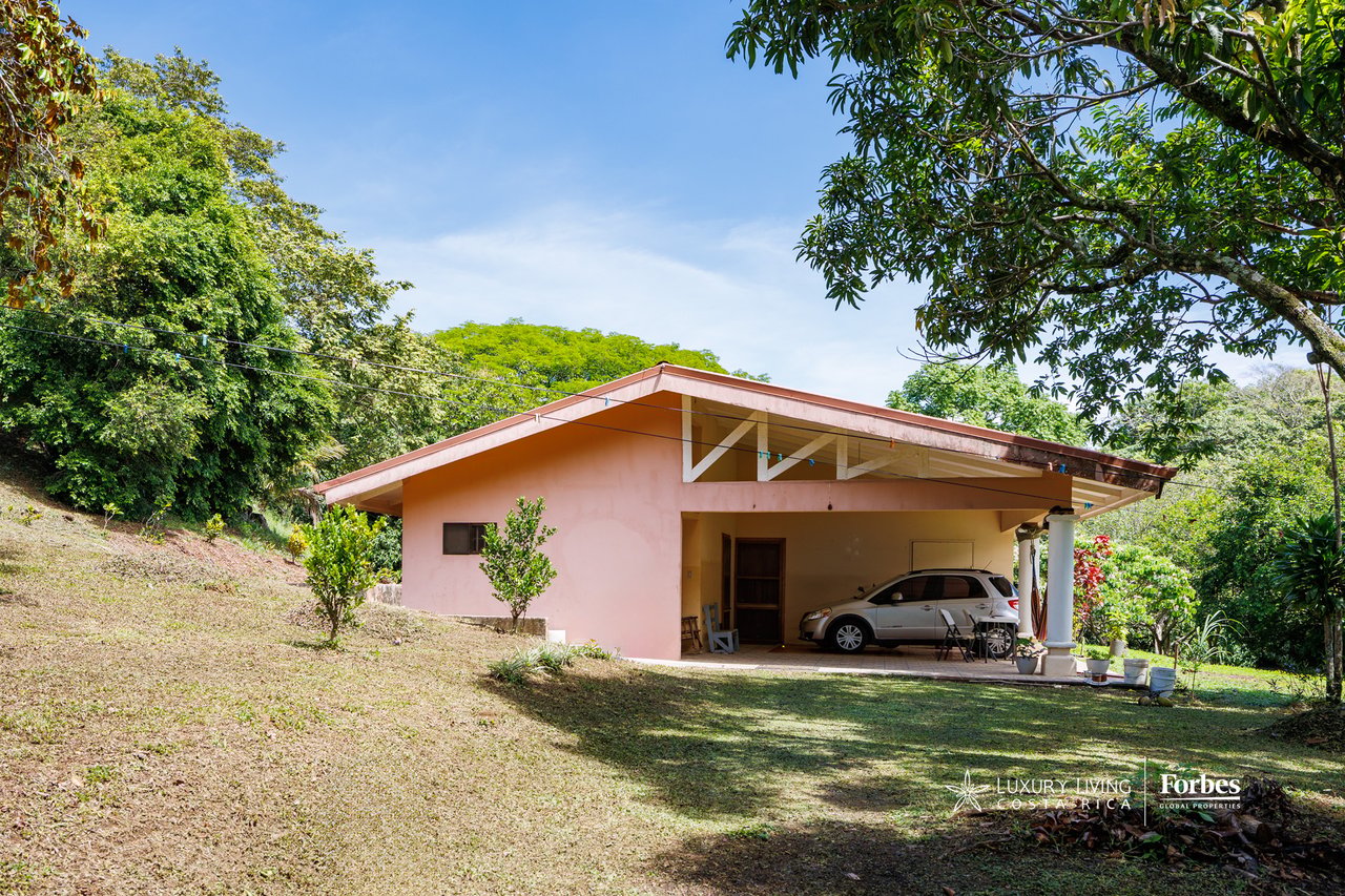 Pink single-story house with a broad roof and carport in a tropical, tree-lined clearing.