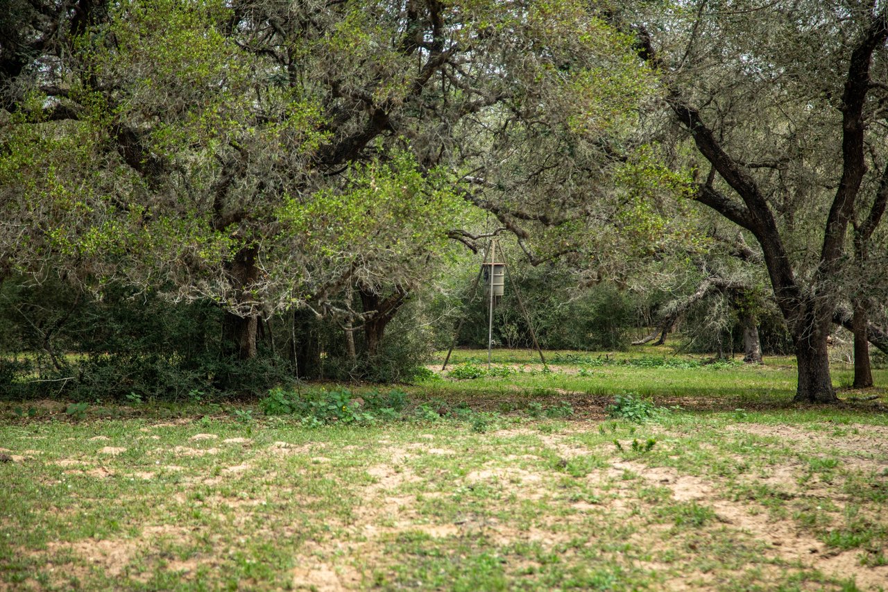 Five Mile Creek Reserve | 252.73± Acres-High Fence | DeWitt County, TX