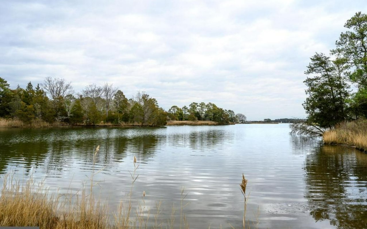 Heron Harbour