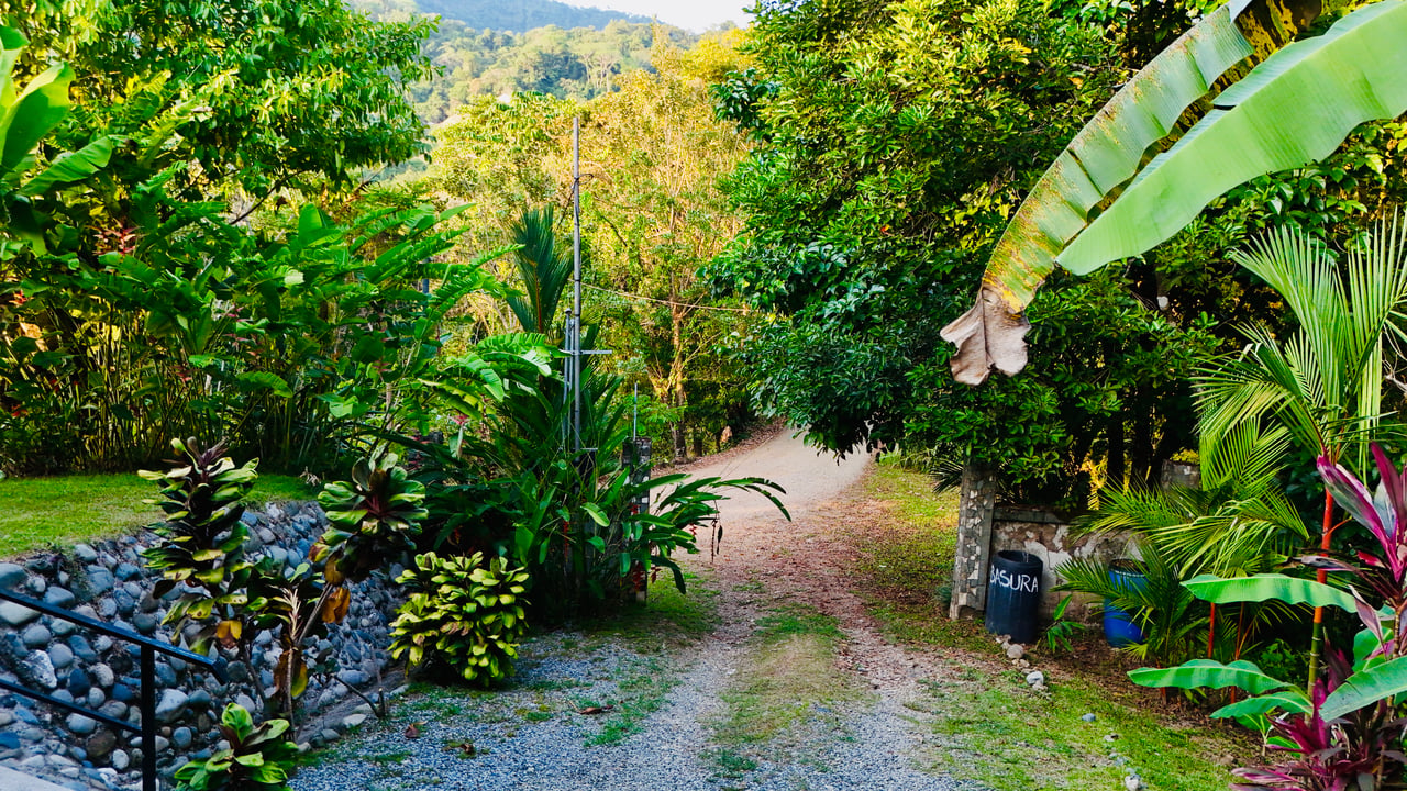 Tropical 2BR Home Near Playa Hermosa Beach | Successful Airbnb Rental in Uvita