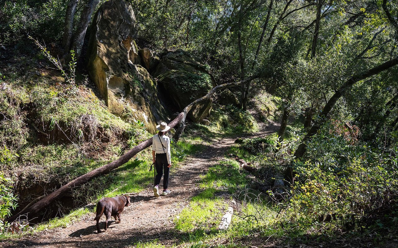 Portola Valley