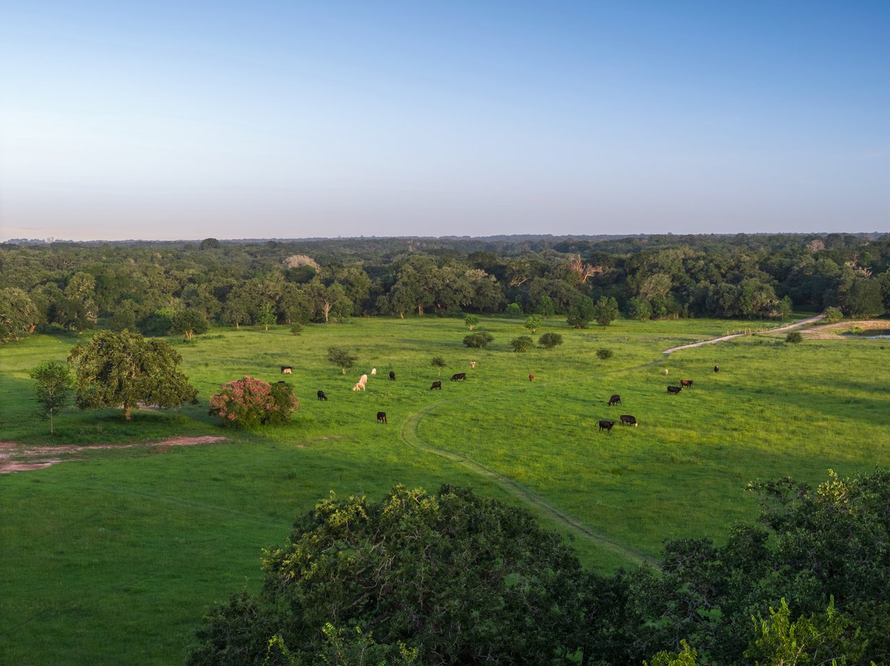 Land & Ranch