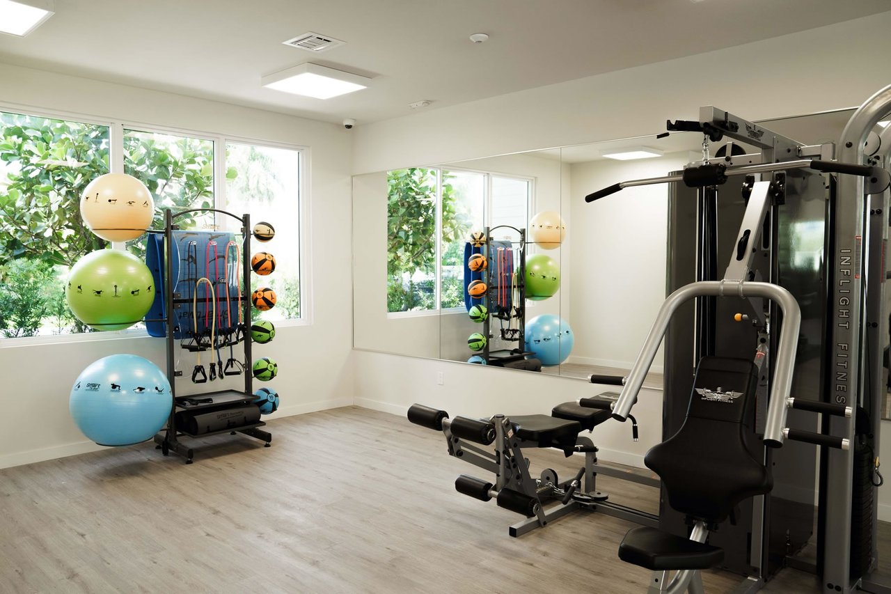 Fitness center with mirrored walls, strength-training equipment, colorful exercise balls and windows overlooking greenery.