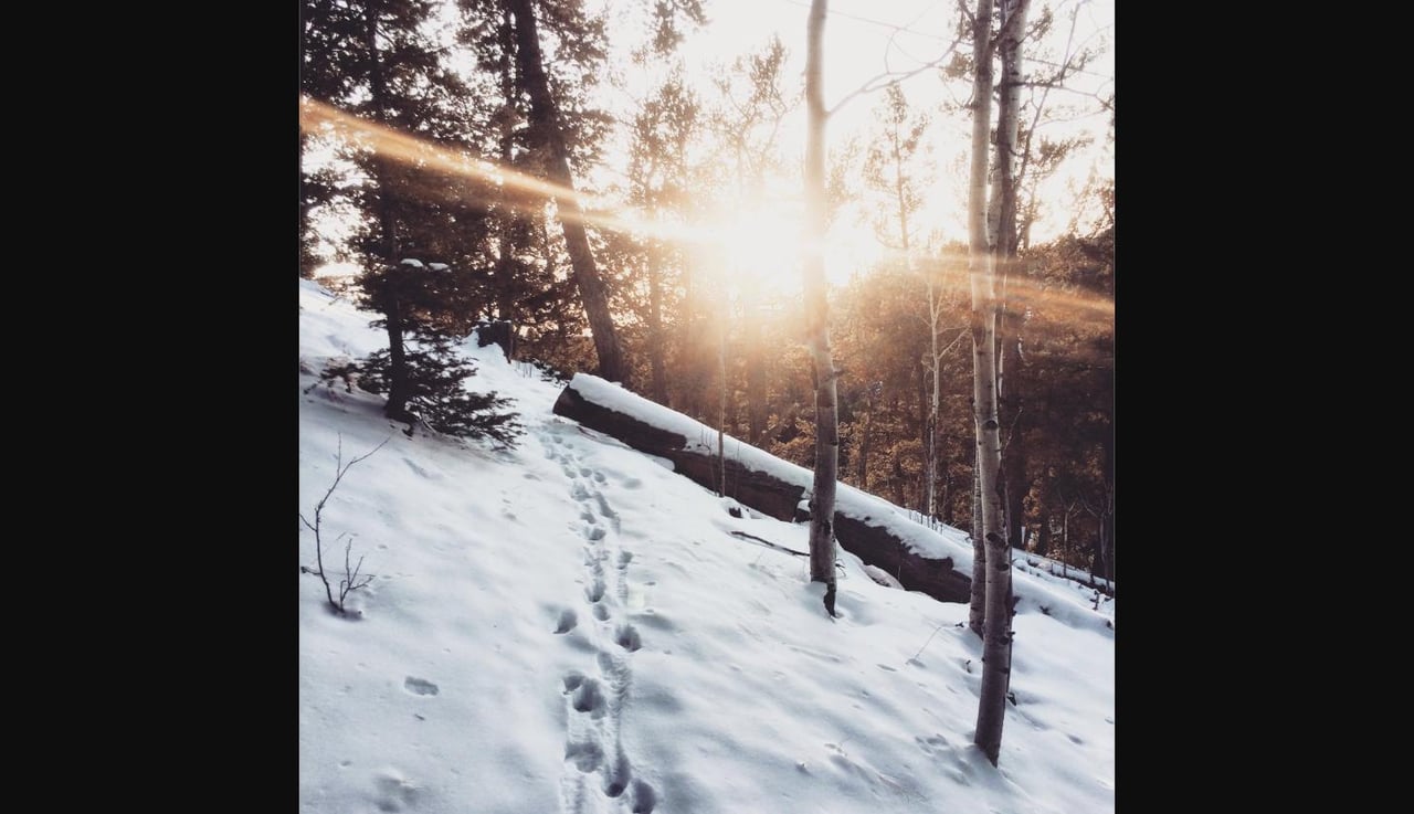Woodland Park