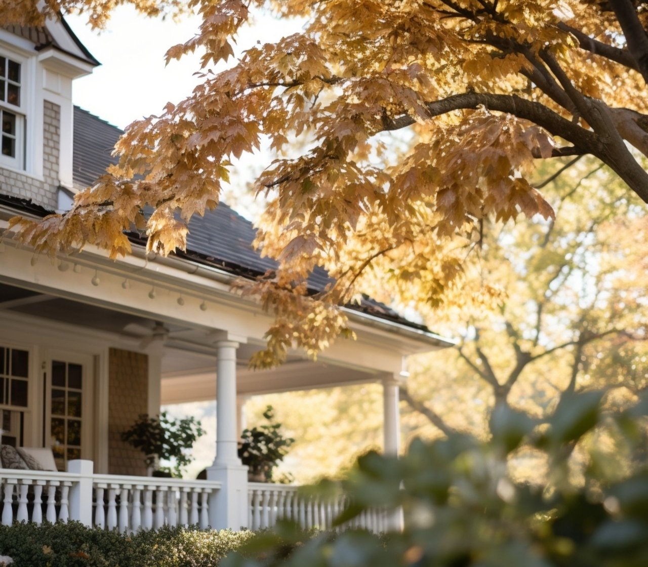 Home Search