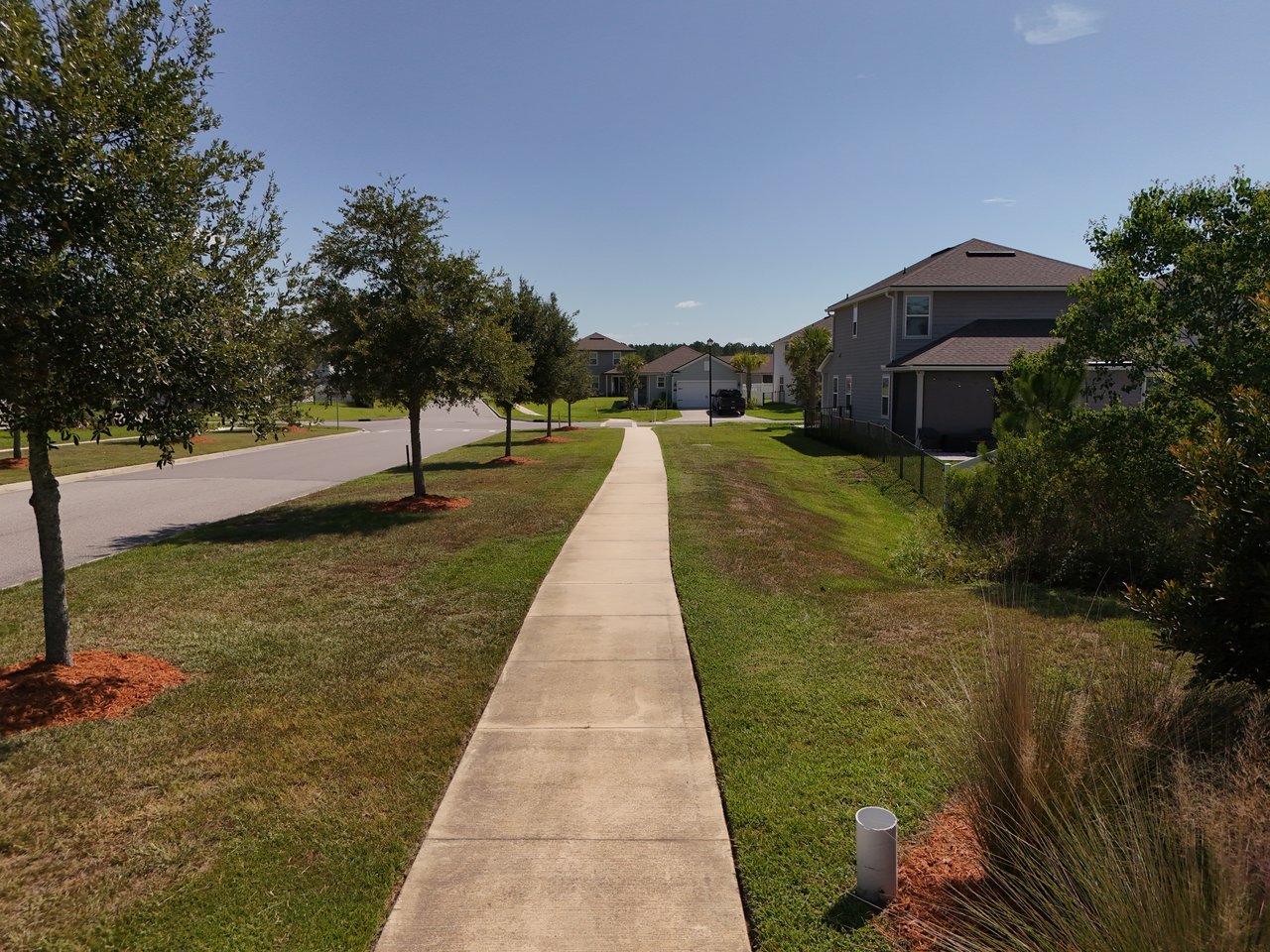 Residential street with a long sidewalk, landscaped lawns, and detached homes.