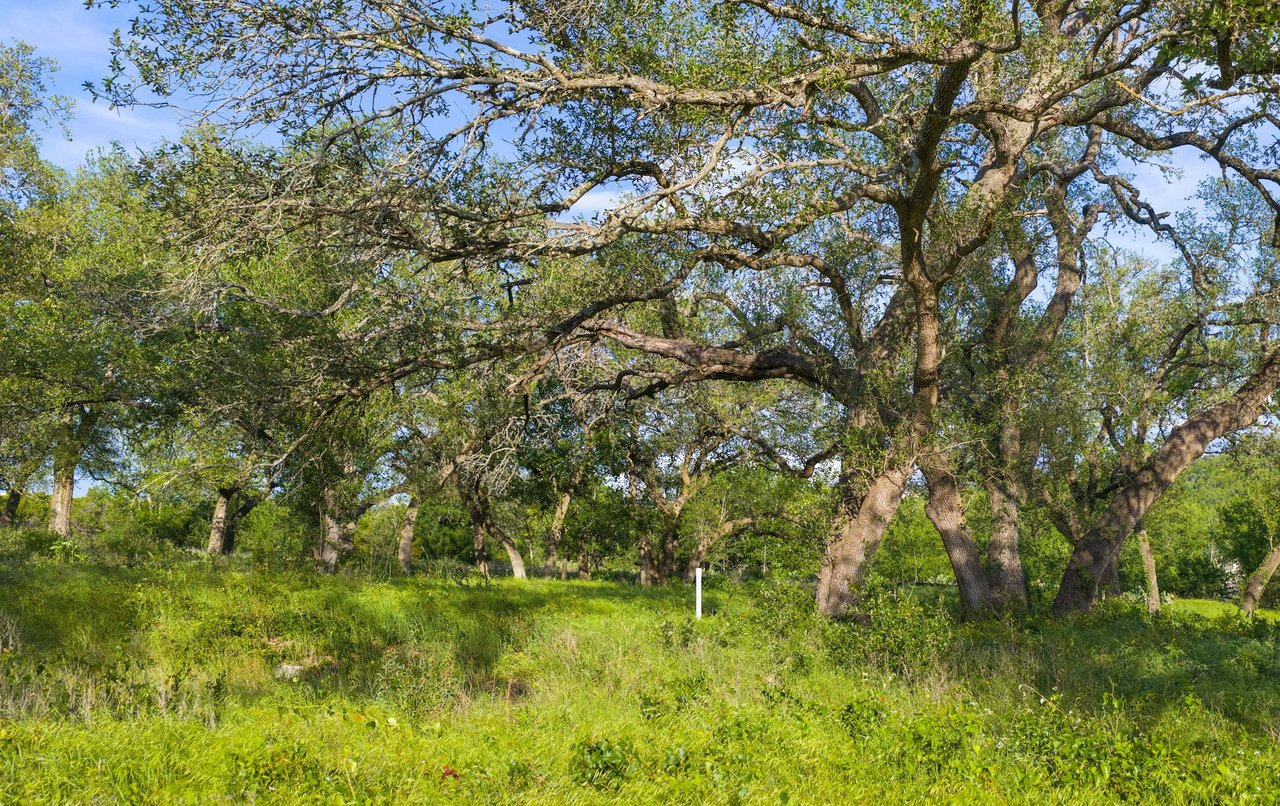 5311 Spring Preserve Trl LOT