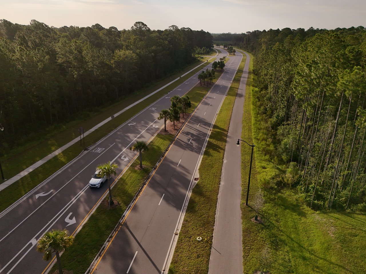 Aerial view of a divided road curving through woodland, with palm-lined medians and sidewalks.