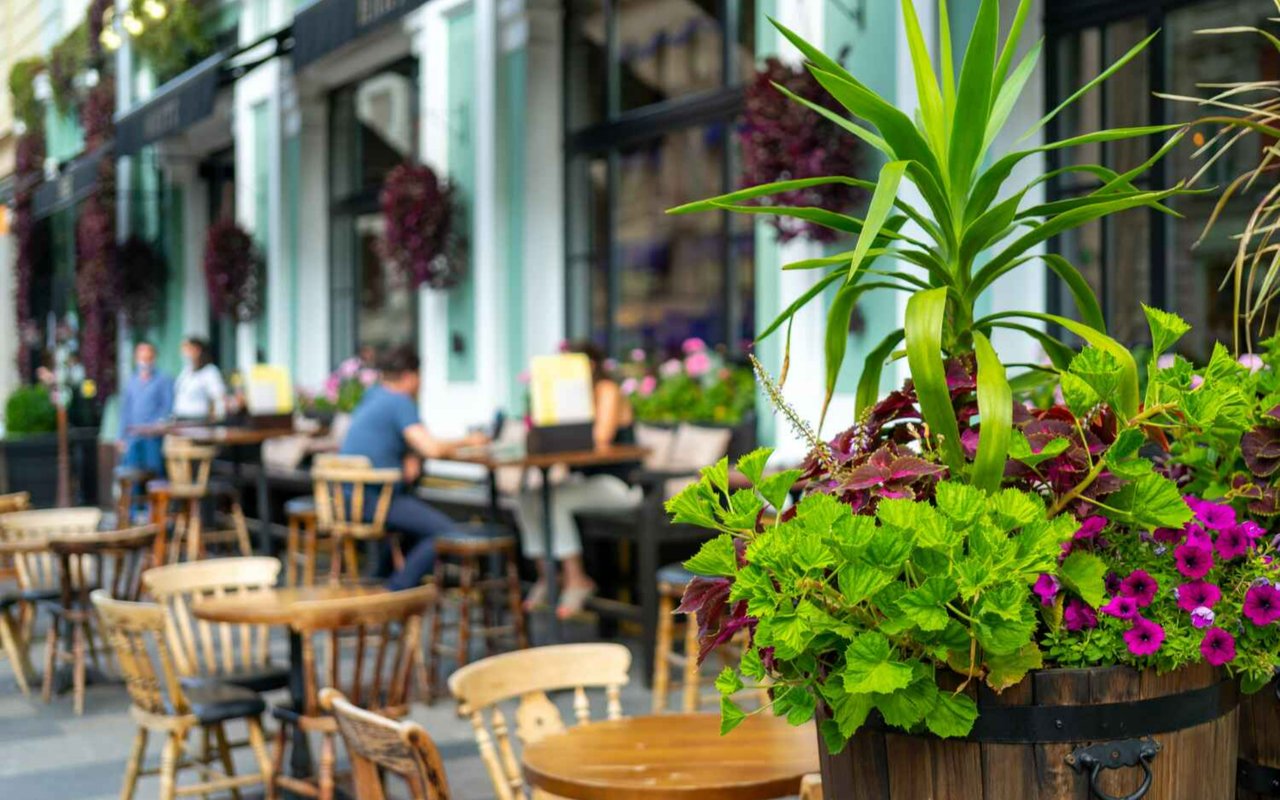 The Great Toronto Patio Power Ranking: Where to Sit, Sip, and Soak Up the City