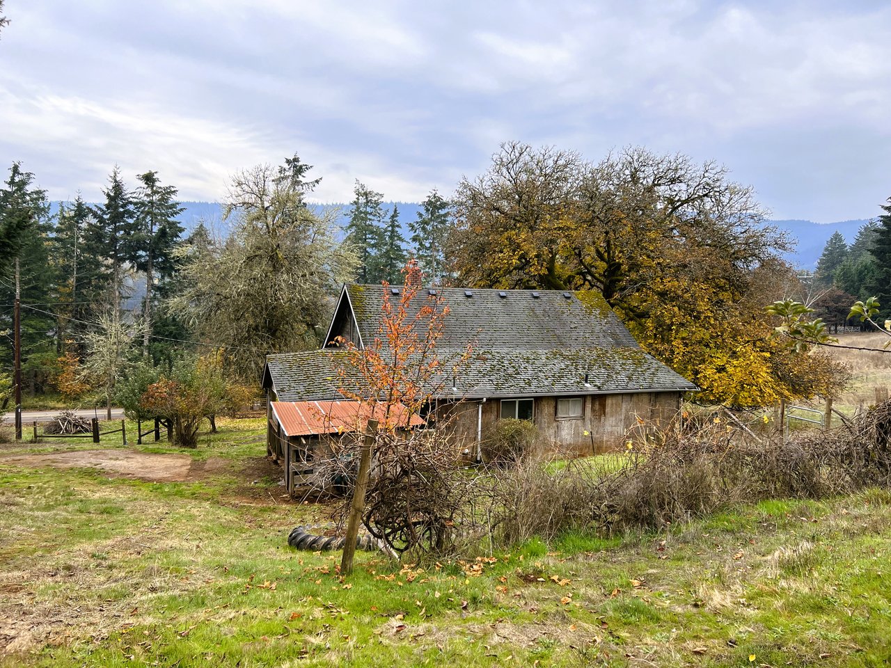 Panther Creek Homestead