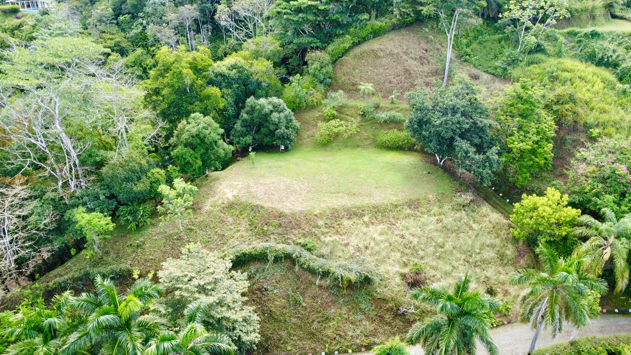 3.6 Acre Ocean View, Near the Beach & Cool Mountain Elevation