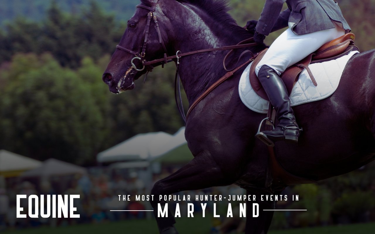 The Most Popular Hunter/Jumper Events In Maryland