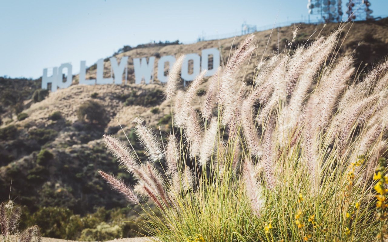 Hollywood
