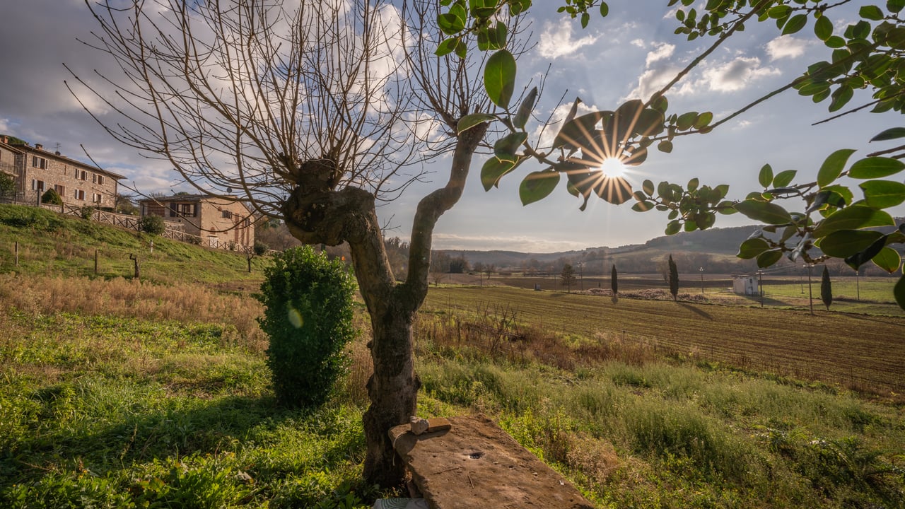 PODERE MAGGIO