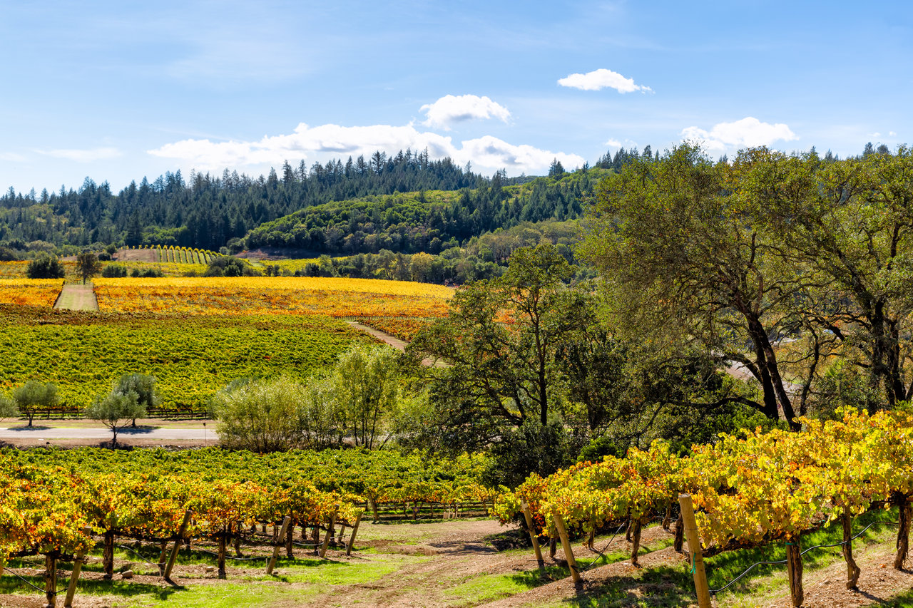 Sonoma County